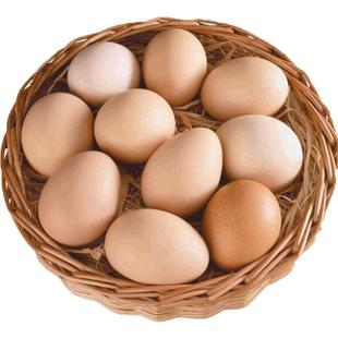 雀淘新鲜无抗土鸡蛋10枚装正宗皖南山区谷物散养柴草鸡蛋整箱营养