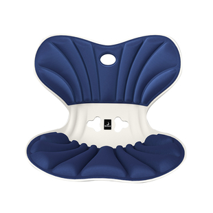 护腰坐垫靠背一体人体工学办公室坐姿椅加大腰部靠垫久坐不累神器