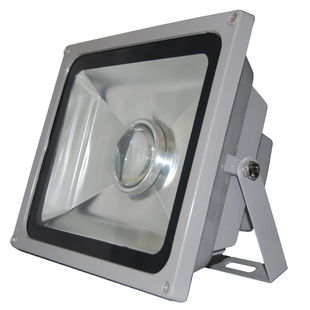 冷库低温led投光灯大功率灯珠50瓦超亮食品厂防水&防爆led投光灯