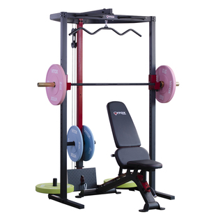 家用多功能卧推架深蹲架单杠引体向上双杠提膝龙门架杠铃架高低拉