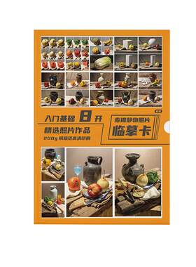 素描静物照片临摹卡 8开高清素描写生卡石膏陶罐衬布单体结构组合明暗美术生基础教程教材