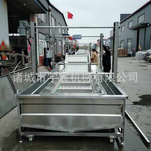 全自动白菜气泡清洗机猪头肉清洗解冻机冻盘冻鱼清洗加工设备