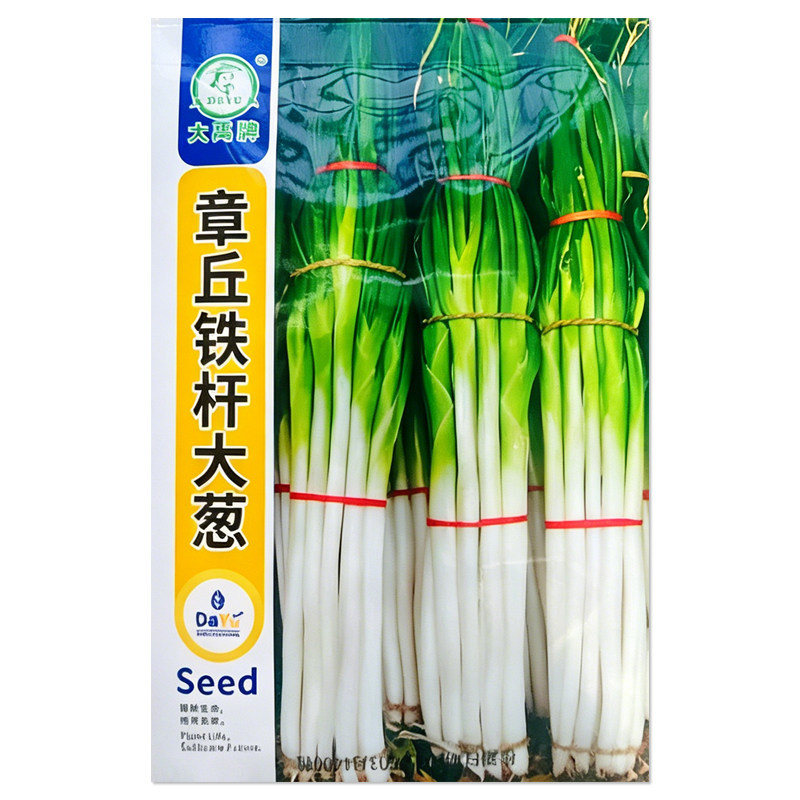 章丘铁杆大葱种子蔬菜种子