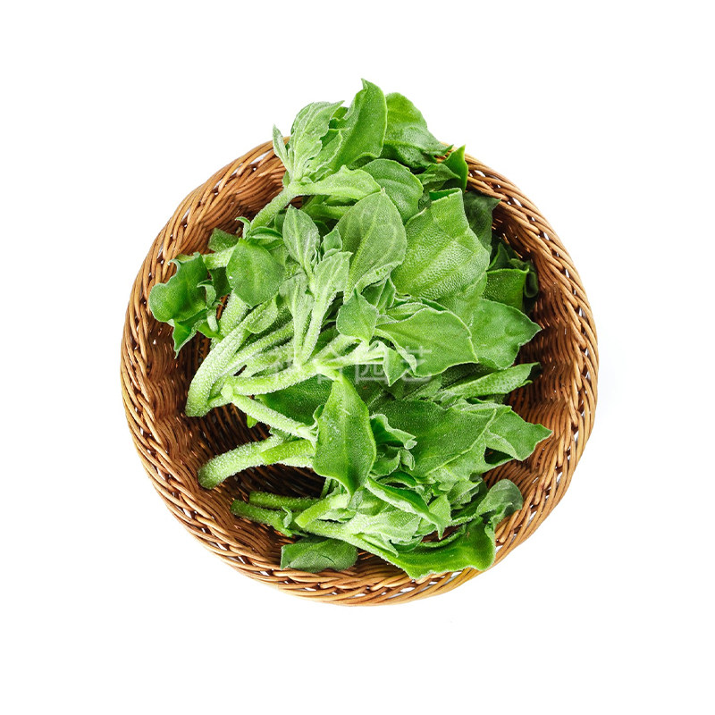 养生水晶冰菜种籽四季蔬菜