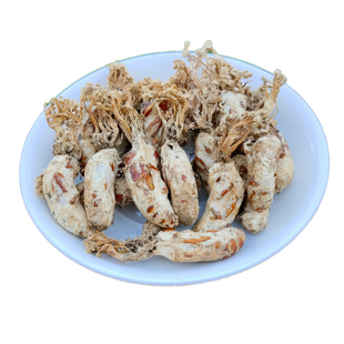 正宗竹海金蝉花新货大别山深山野外生长竹林蝉花土蝉花金蝉花包邮