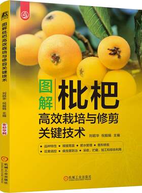 官网正版 图解枇杷高效栽培与修剪关键技术 刘昭华  祝毅娟 枇杷肥水管理 枇杷整形修剪 机械工业出版社