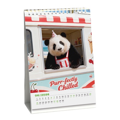 2026熊猫花花卡通台历！太可爱了