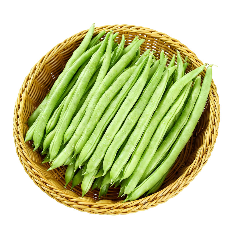 云南四季豆新鲜现摘油豆角露天种植无筋豆嫩豇豆当季农家时令蔬菜