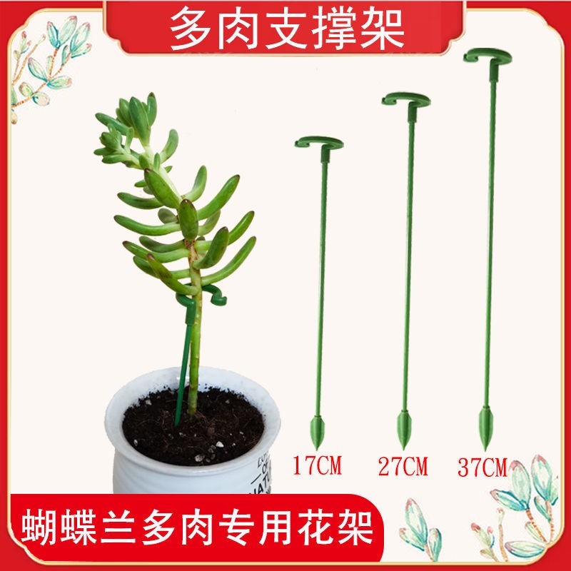 多肉蝴蝶兰花架支架植物盆栽花卉造型支撑杆固定防倒伏护叶架