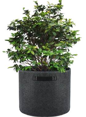 加厚毛毡种植袋透气透水美植袋