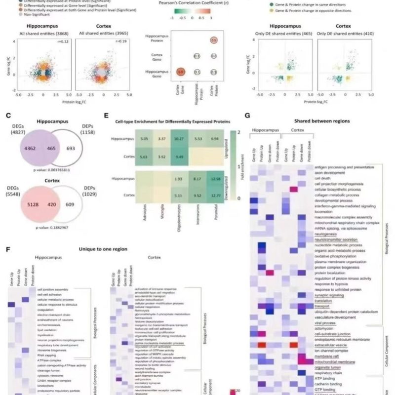生信 生信分析 生物学 基因学 sci指导 卷积神经网络 matlab 求解