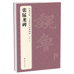 经典全集 《张猛龙碑》中国历代碑帖精粹译文简体注释北魏楷书毛笔字帖书法成人学生临摹帖练古帖练字中国美院出版社 杨建飞