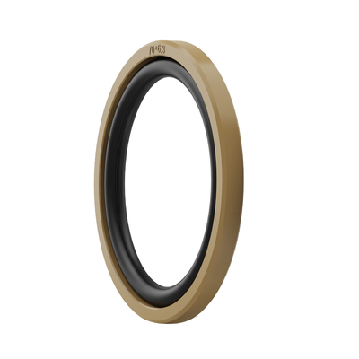 STD中国丁晴橡胶孔用格莱圈