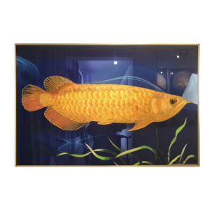 现代轻奢金龙鱼装饰画新中式手工掐丝珐琅彩画沙发玄关年年有余画