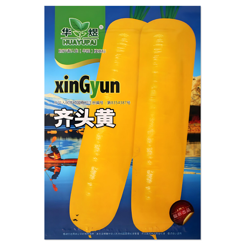 齐头黄胡萝卜种子蔬菜种子