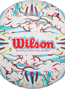 Wilson威尔胜排球中考学生专用5号比赛训练用球初中生专业硬排球