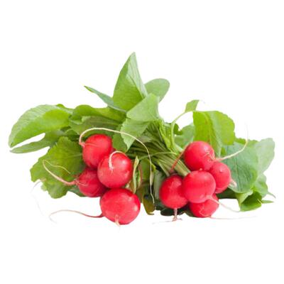 传家宝彗星萝卜种子浓郁清脆早熟