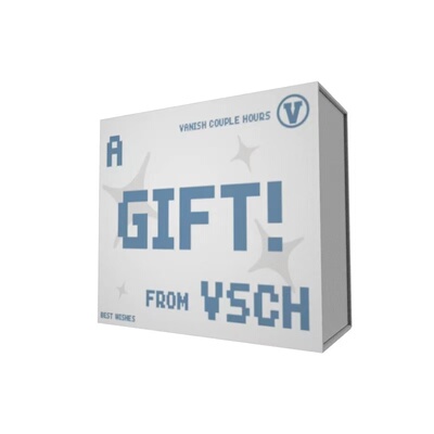 VSCH结后余生情侣项链