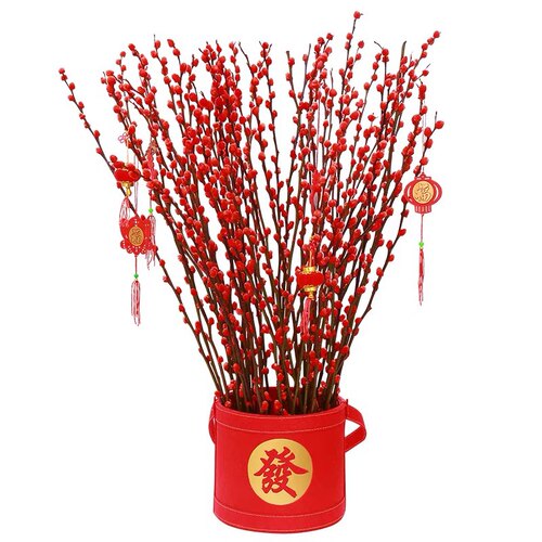 七彩银柳真花红色鲜枝年宵花卉福桶银柳耐寒植物干花室内装饰花束