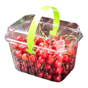 网红手提水果盒草莓一次性透明果篮打包盒葡萄冬枣2斤装包装盒子