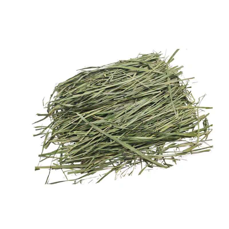 2026年烘干特级燕麦干草兔子龙猫豚鼠牧草饲草超嫩一包500g包邮