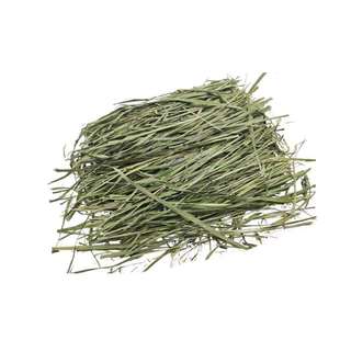 2024年烘干特级燕麦干草兔子龙猫豚鼠牧草饲草超嫩一包500g包邮