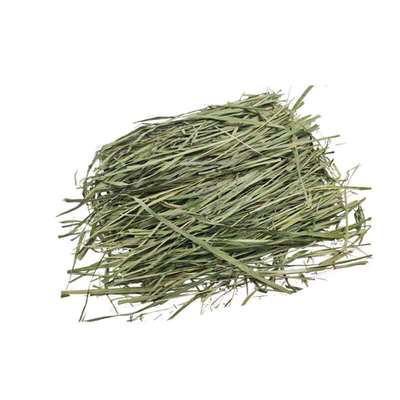2024年烘干特级燕麦干草兔子龙猫豚鼠牧草饲草超嫩一包500g包邮