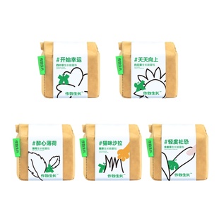 作物生长种植盆栽套装薄荷幸运草ins风桌面绿植创意diy生日礼物