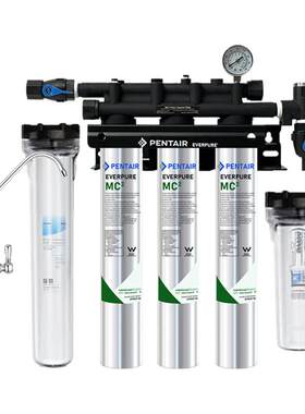 爱惠浦商用净水器MC2奶茶咖啡店