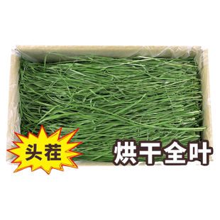 25年烘干提摩西草兔粮兔饲料粮食干草段兔子龙猫豚鼠荷兰猪牧草