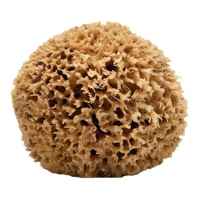 天然蜂窝海绵洗澡专用超清洁搓澡