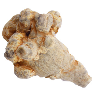 云南深山农家新鲜文山三七【生态晒干三七】新田七晒三七