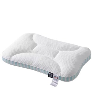 SPA深睡记忆枕芯枕头护颈椎助睡眠成人一对整专用单人家用男偏硬