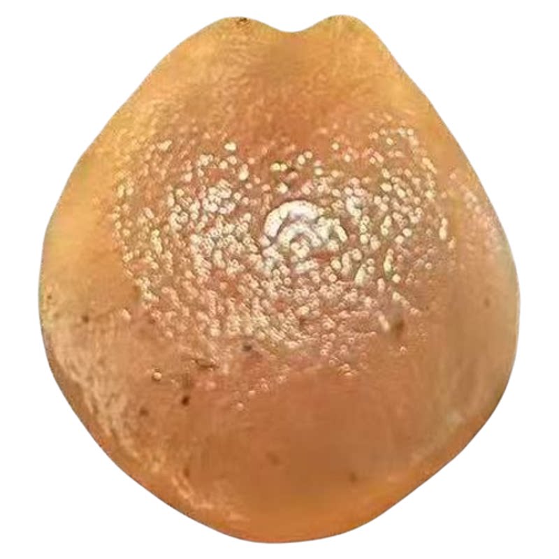 天然野生青鱼石支持7天无理由