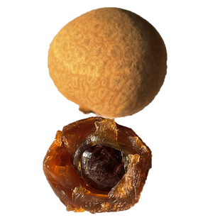 桂圆干高州大果肉厚核小龙眼干货香甜泡水即食新品杨家包邮500g