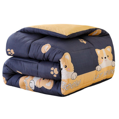 ins风羽丝被抗菌防螨水洗棉保暖