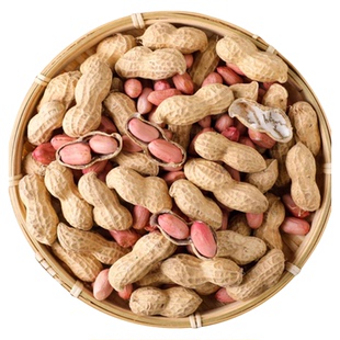 2025年新鲜晒干带壳生花生高产薄壳花生种子手剥花生米粉皮大粒