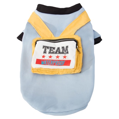 金毛狗狗大型犬秋季卫衣