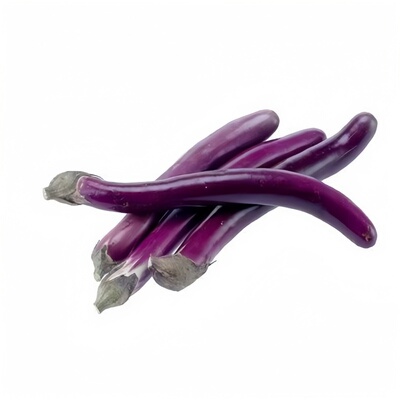 杭茄一号紫红长茄苗高产抗病