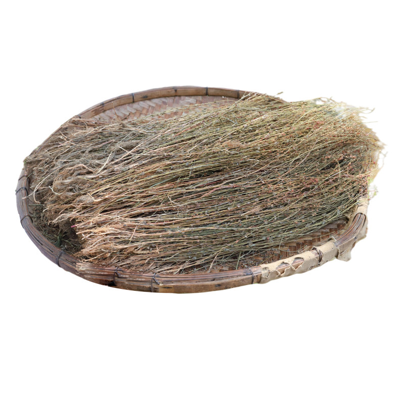 农家晒山里田基黄干整颗新晒500g