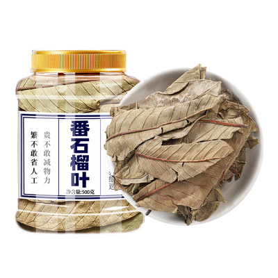番石榴叶泡茶泡水正品芭乐叶