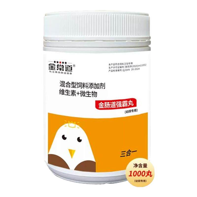 金肠道粉剂赛鸽子鹦鹉鸟肠道调理