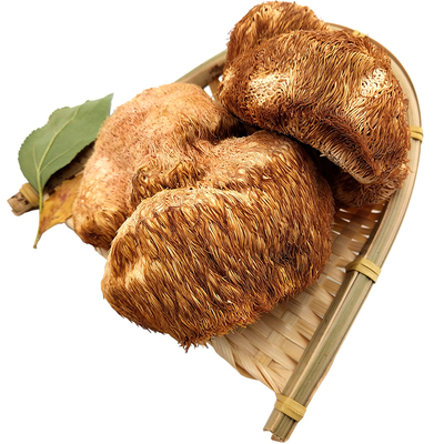 新货特级菇无添加猴头菇养胃菇