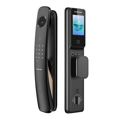 凯迪仕Q20FProV2人脸识别指纹密码猫眼电子锁家用监控智能门锁