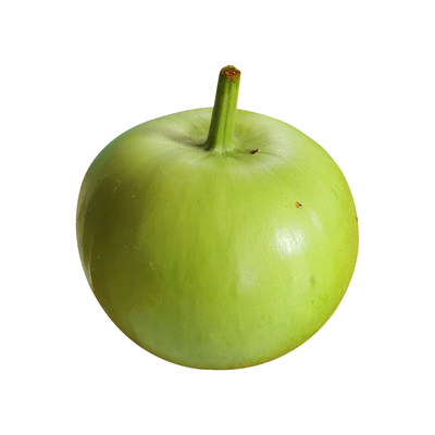 利农苹果瓠瓜种籽短圆瓠瓜菜葫芦