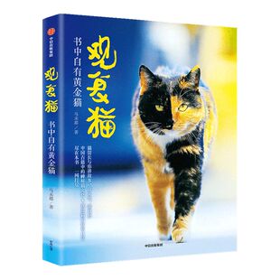 观复猫 书中自有黄金猫 马未都著 猫馆长与你讲故事说文化涨知识 中国古籍中的神秘猫文化+观复猫的软萌日常 中信出版正版