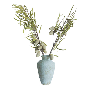 西澳洲进口天然高端干花花材侘寂风文艺复古家居软装摆设干果木梨