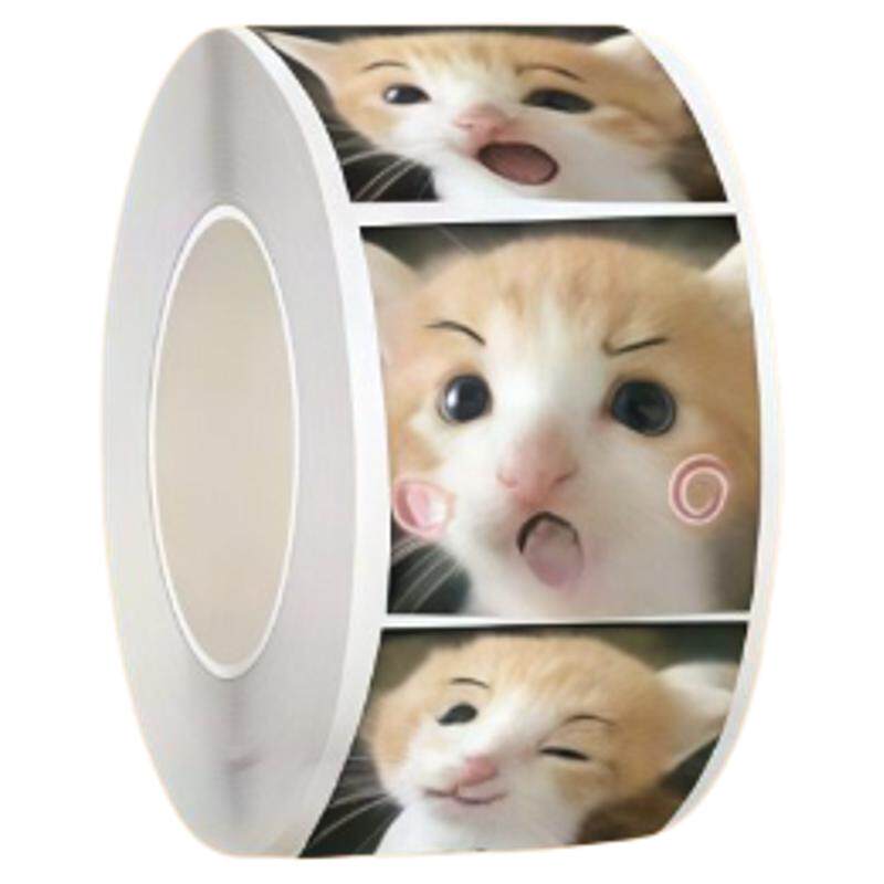死对头小猫表情包整蛊贴装饰贴