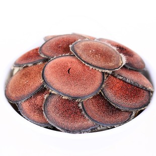 梅花乡鹿茸片红粉片半腊片整枝鹿茸切片血茸片鹿茸血酒鲜鹿茸20克