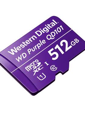 WD内存卡家用摄像头c10车载视频